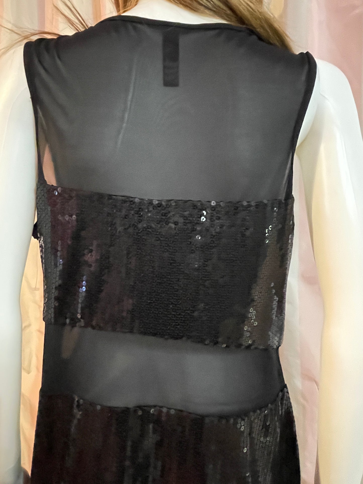 Goth Victorian Flapper Sequin Sheer Dress Sheath