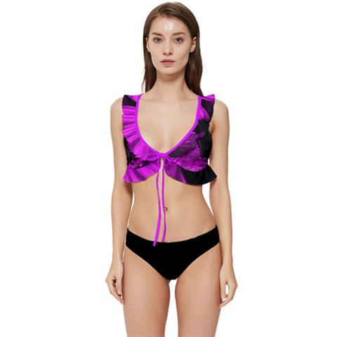 SUGA LANE WICKED NIGHTS RUFFLE BIKINI TOP SUGA LANE