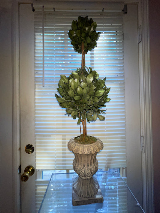 RENTAL GREEN TOPIARY SHRUBBERY TERRACOTTA STYLE POT