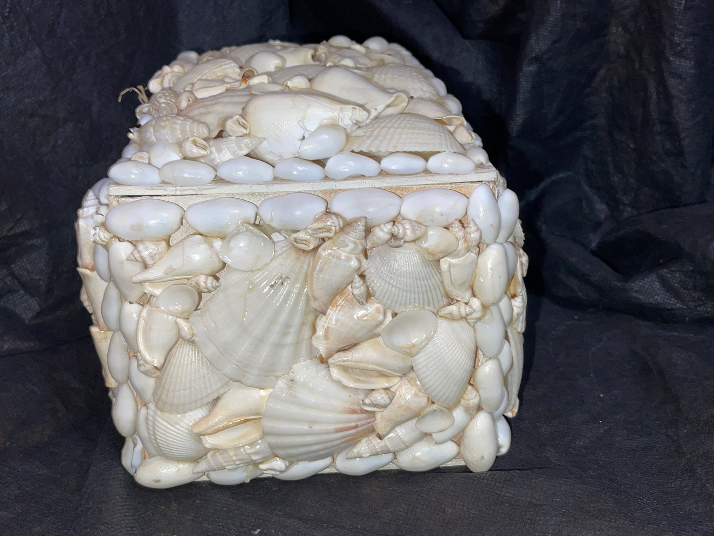 RENTAL LARGE SEASHELL BOX