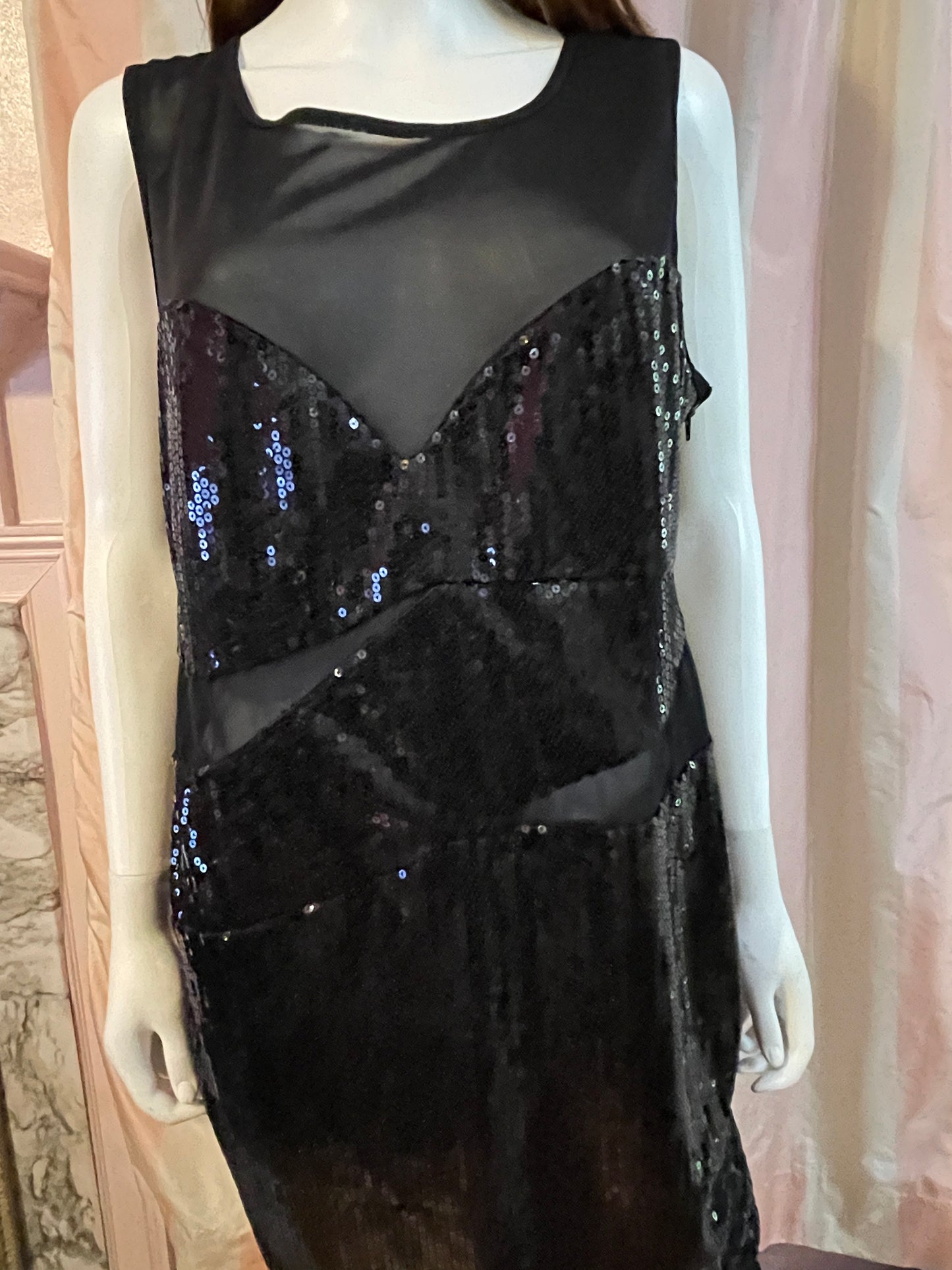 Goth Victorian Flapper Sequin Sheer Dress Sheath