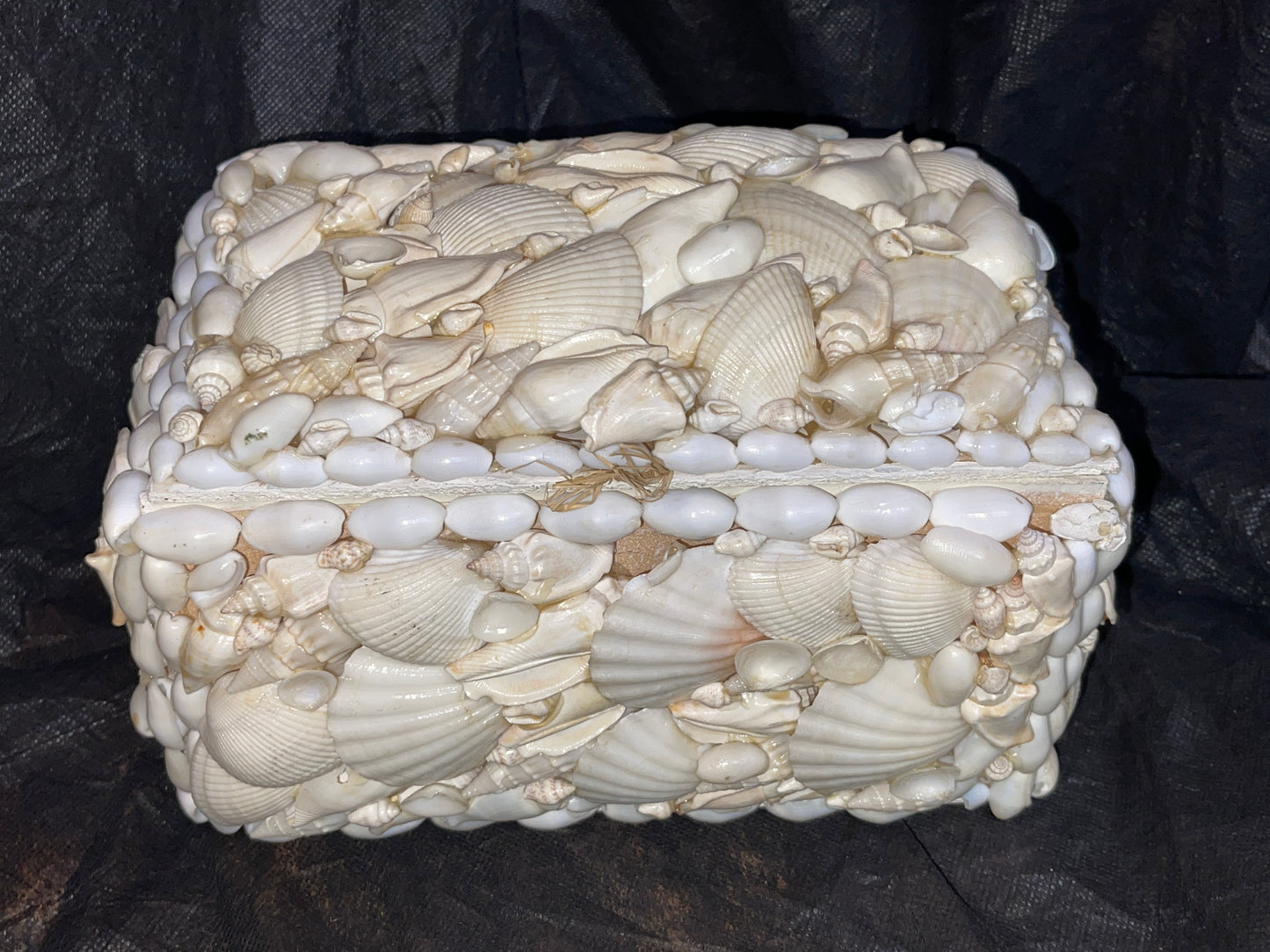 RENTAL LARGE SEASHELL BOX