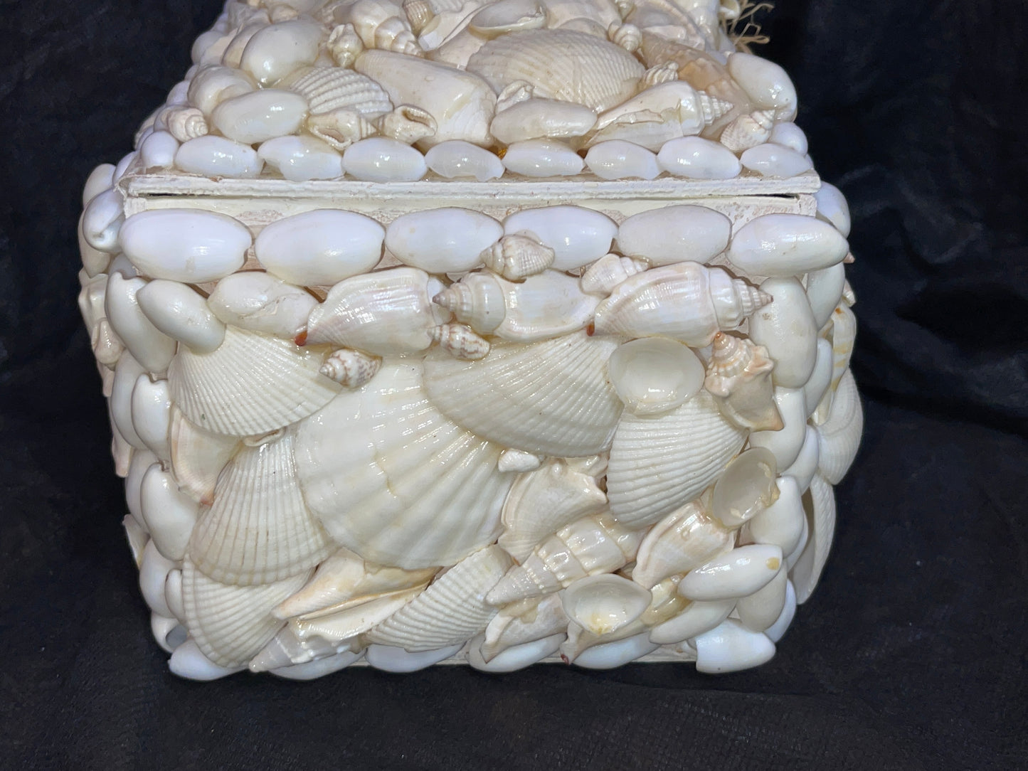 RENTAL LARGE SEASHELL BOX