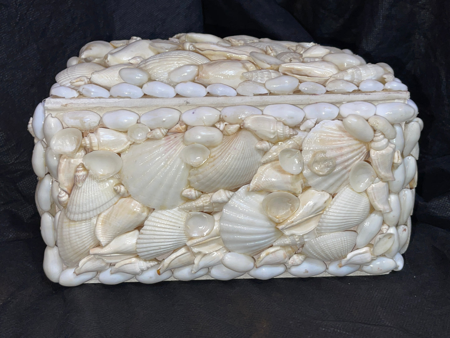 RENTAL LARGE SEASHELL BOX