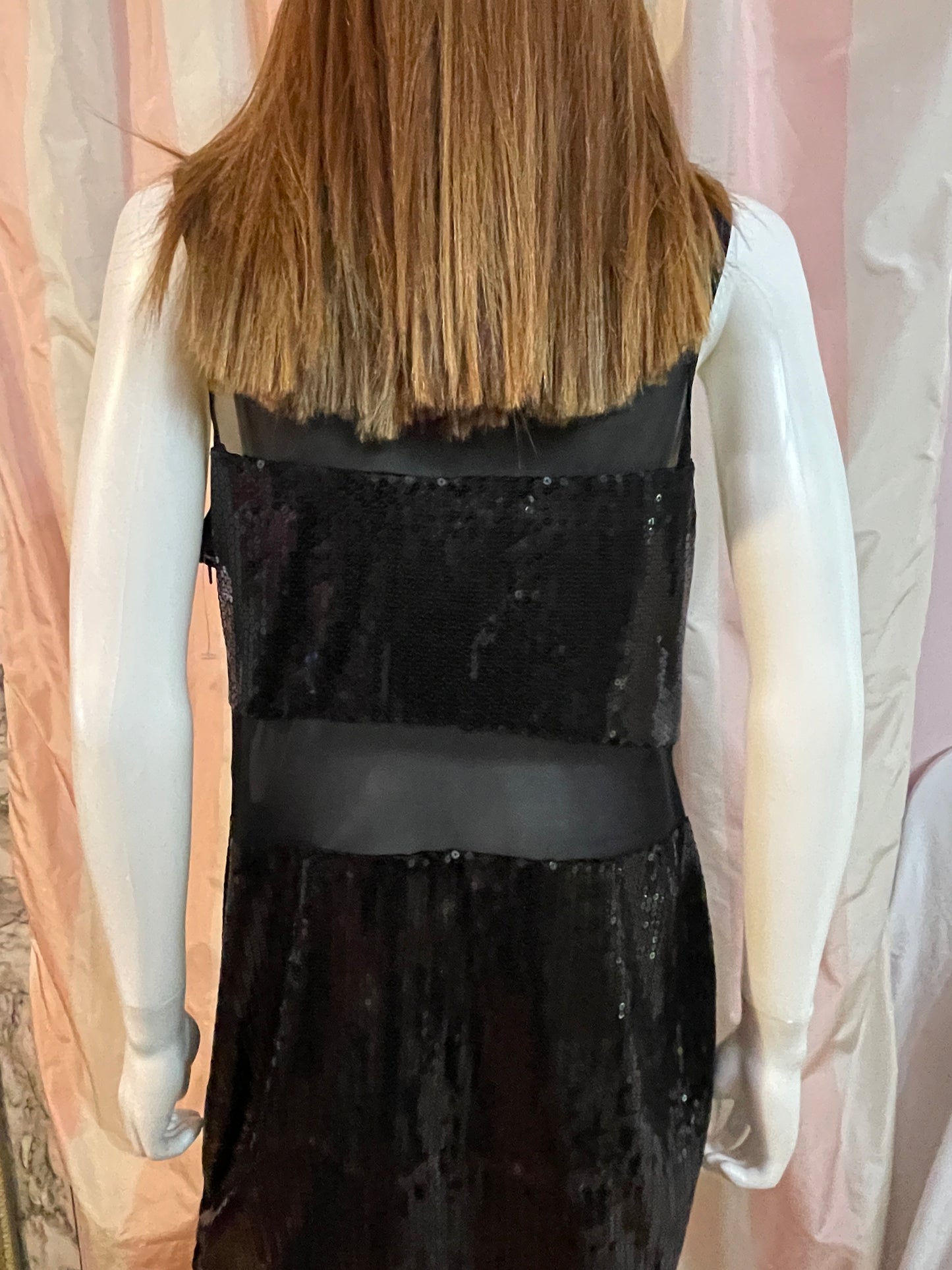 Goth Victorian Flapper Sequin Sheer Dress Sheath