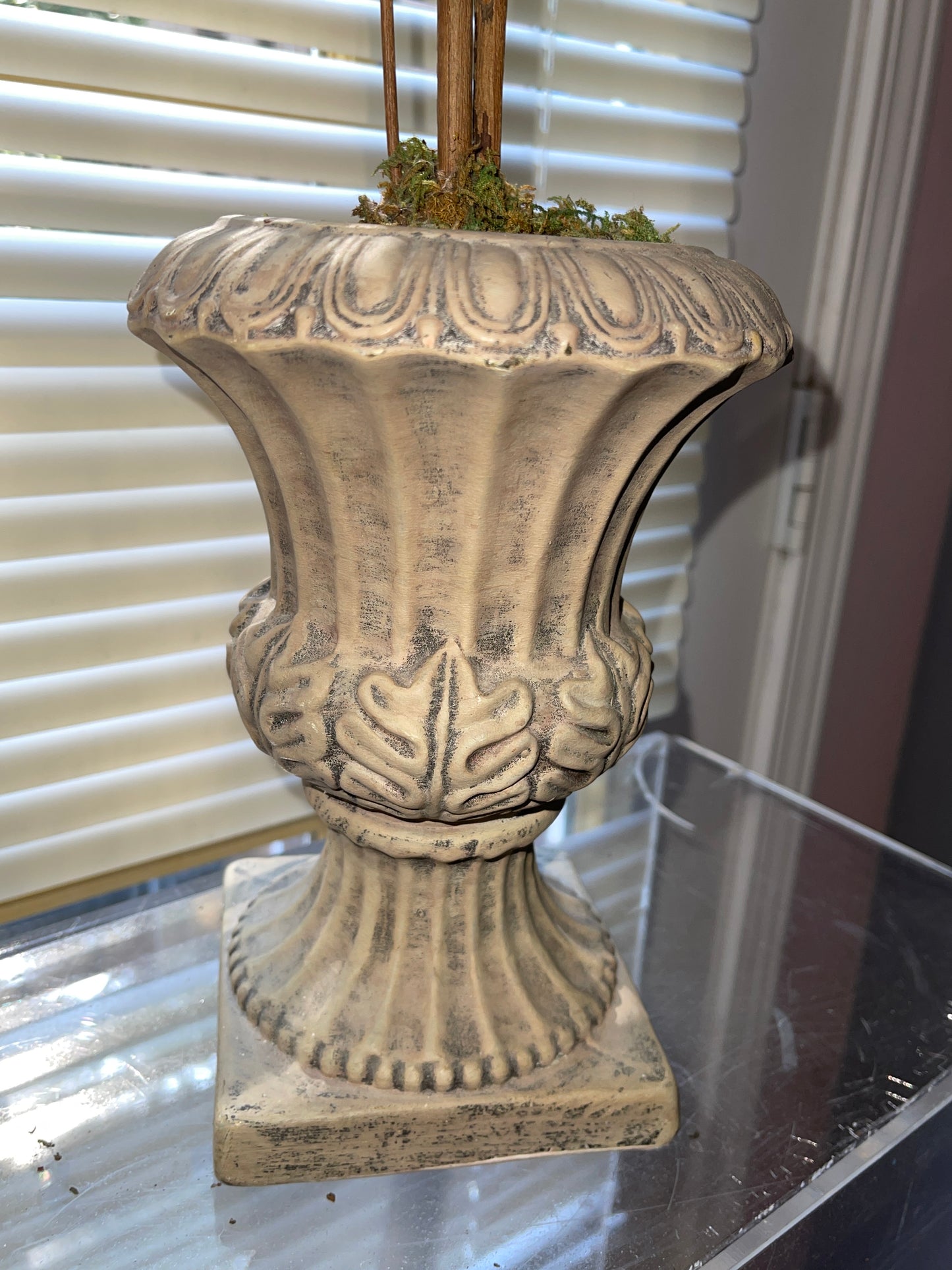 RENTAL GREEN TOPIARY SHRUBBERY TERRACOTTA STYLE POT