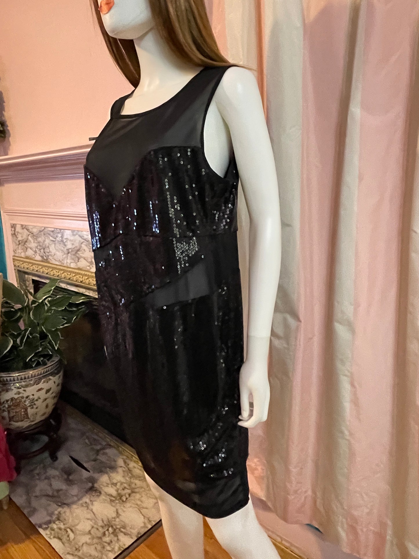Goth Victorian Flapper Sequin Sheer Dress Sheath