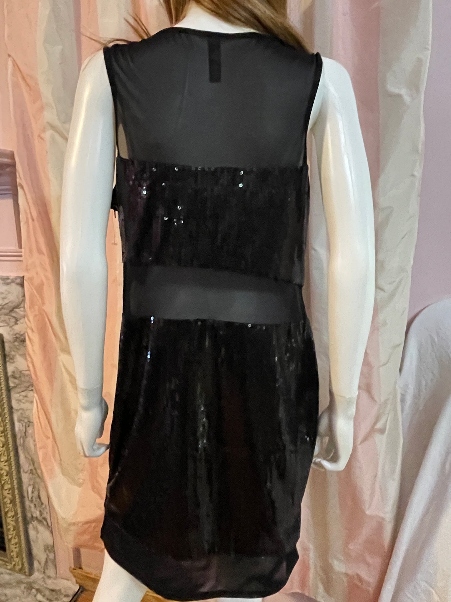 Goth Victorian Flapper Sequin Sheer Dress Sheath