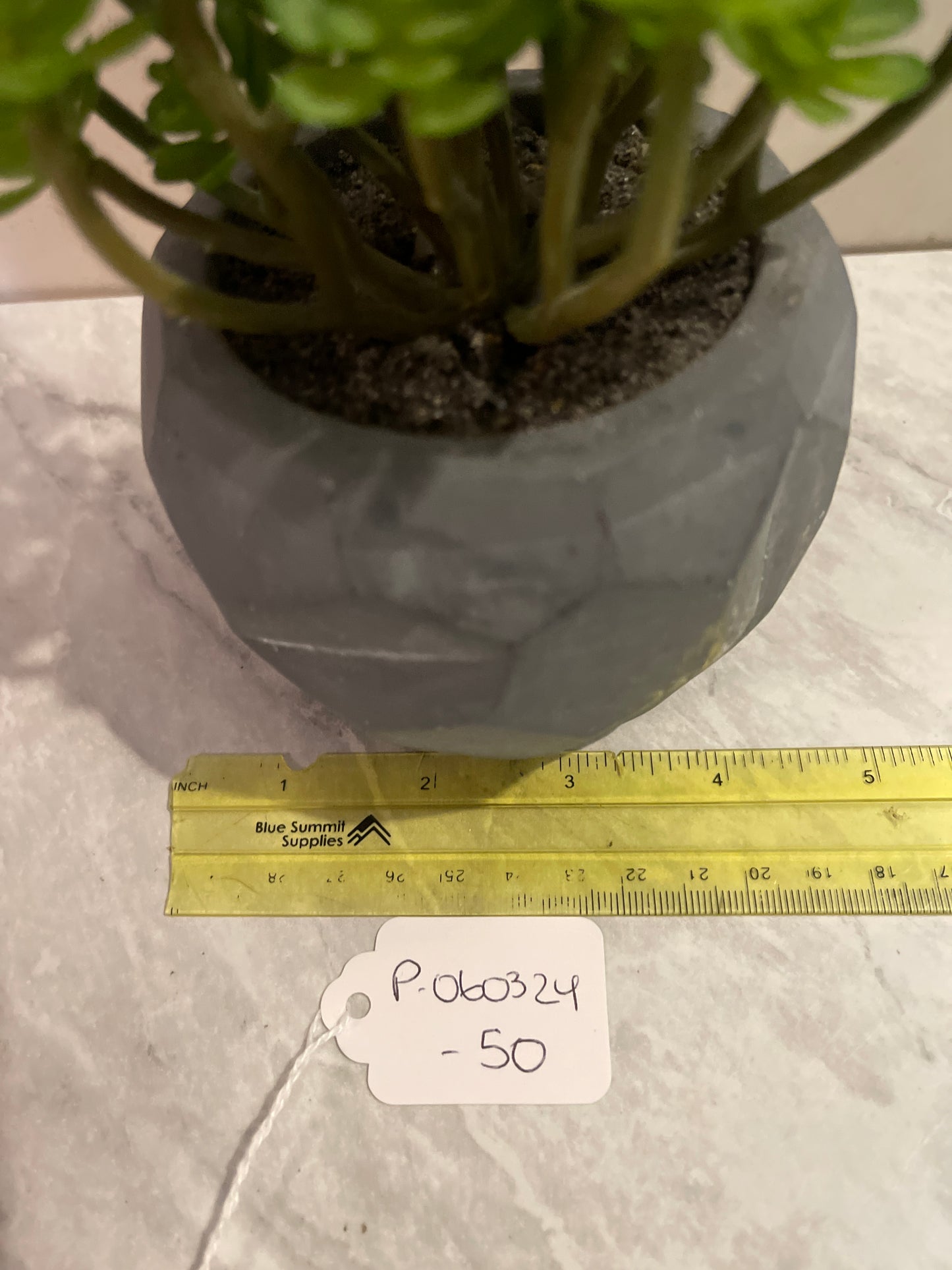 Rentals small faux green plants office