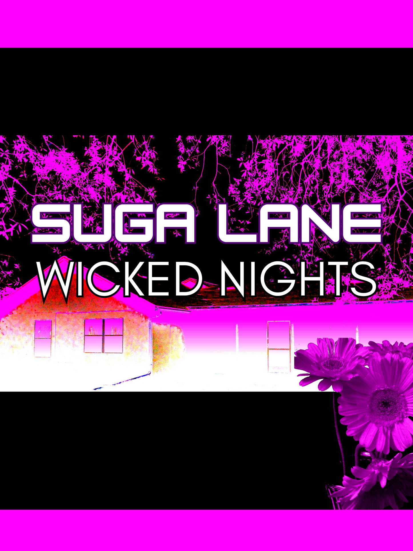 SUGA LANE WICKED NIGHTS POSTER SUGA LANE