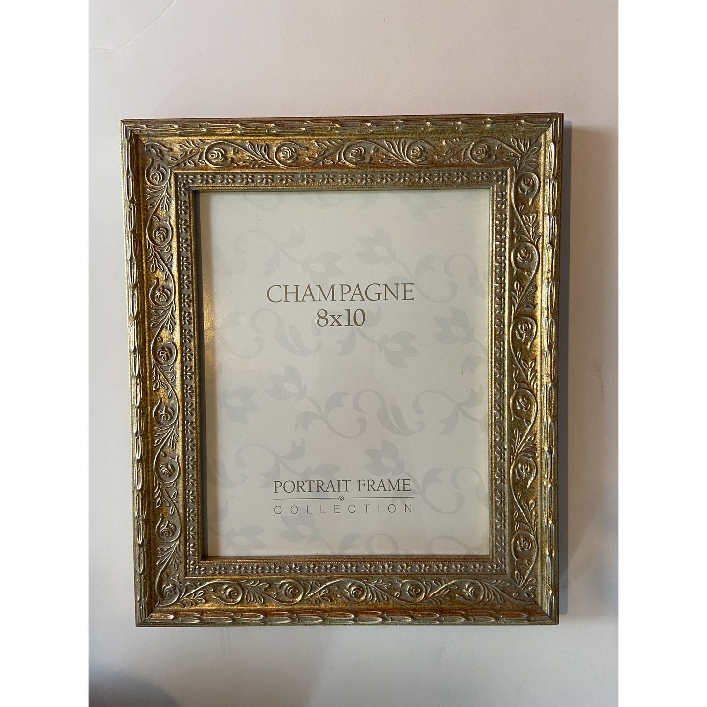 French Louis Champagne Gold Wood Glass Picture Frames - Pair of 2