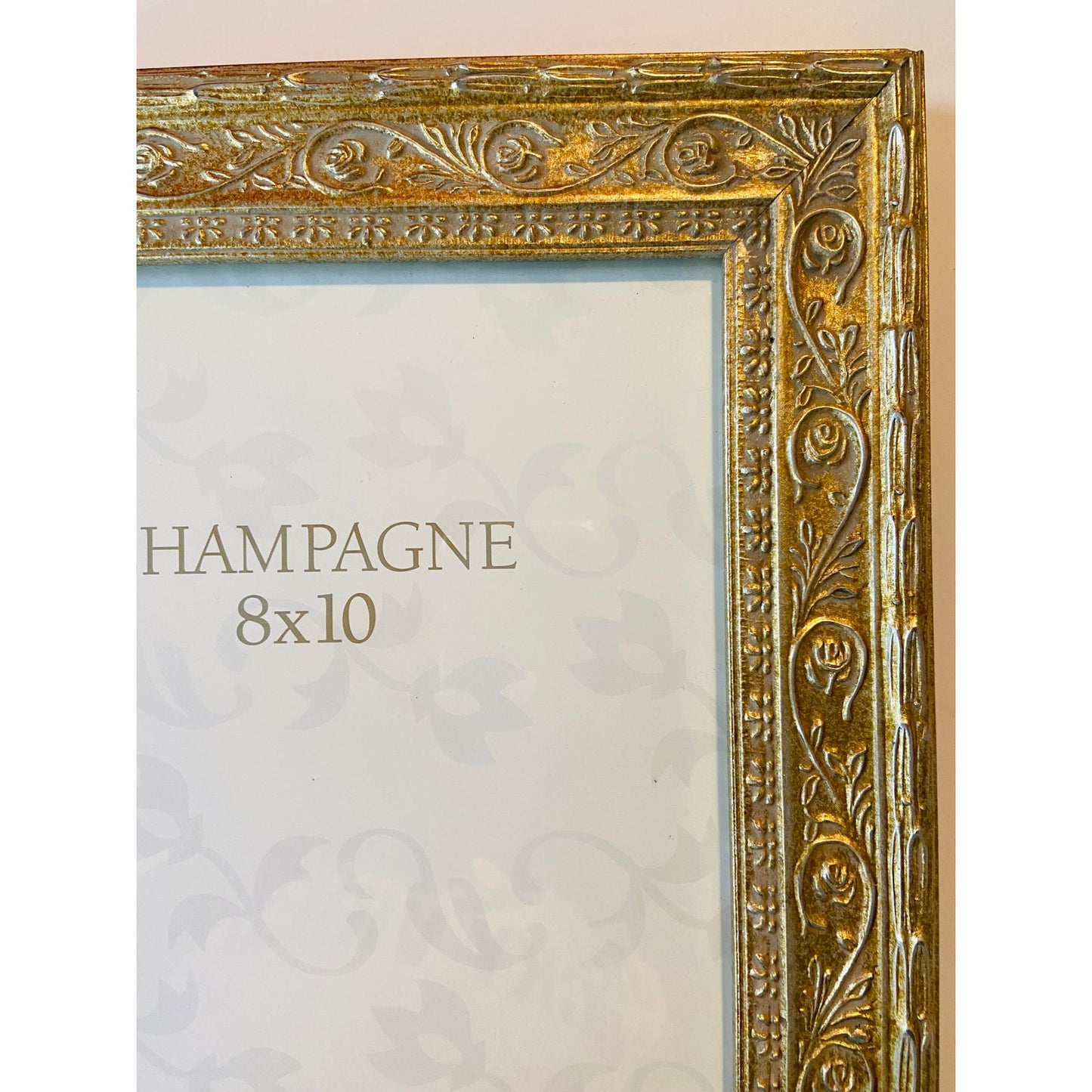 French Louis Champagne Gold Wood Glass Picture Frames - Pair of 2