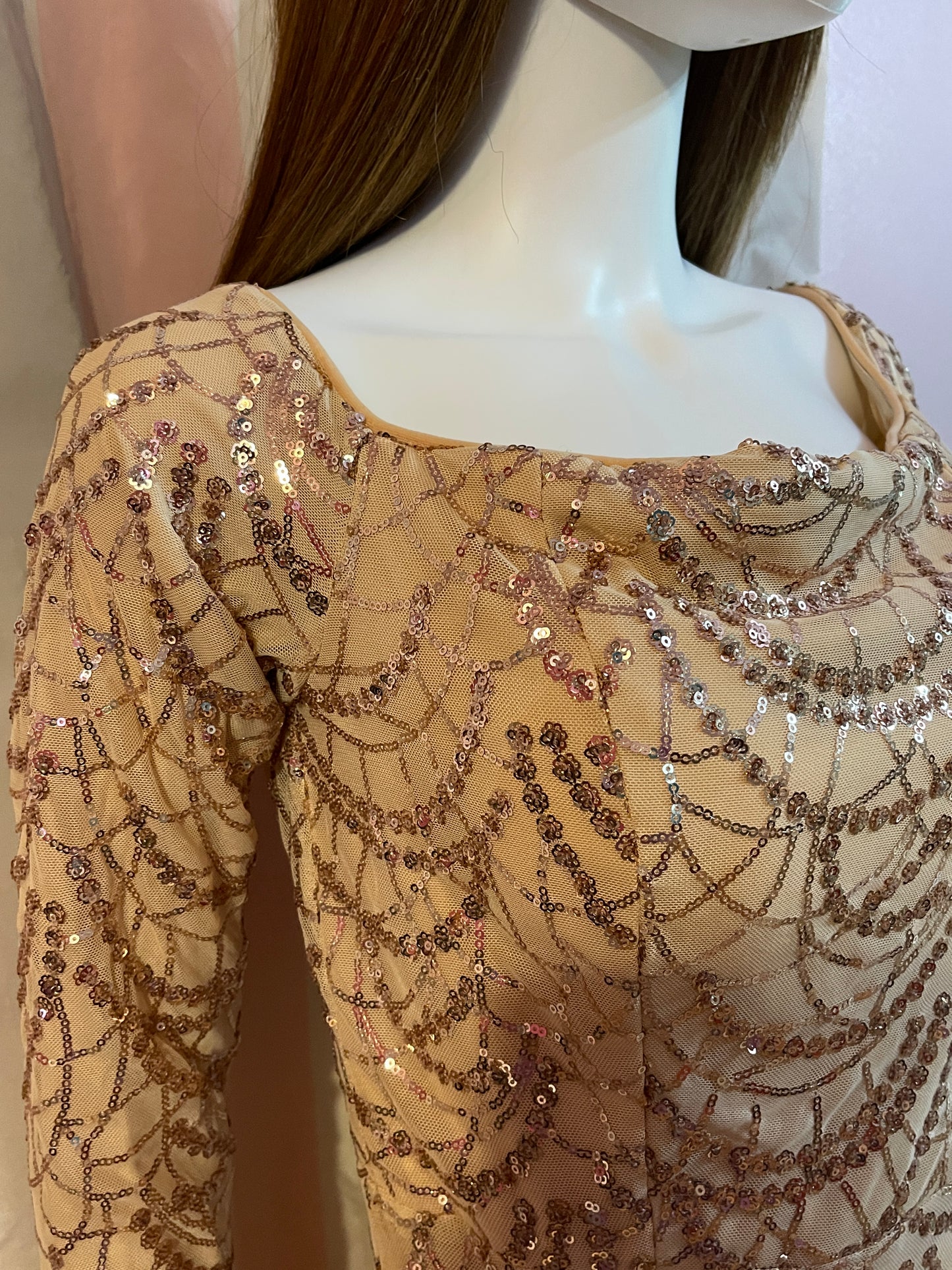 Beige Silk Sequin Sheer Long Sleeve Gown Dress