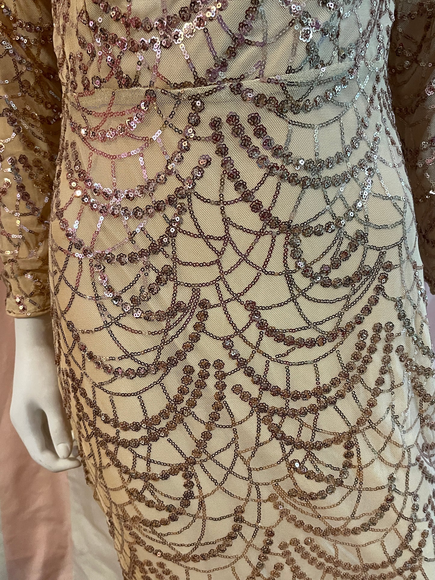 Beige Silk Sequin Sheer Long Sleeve Gown Dress