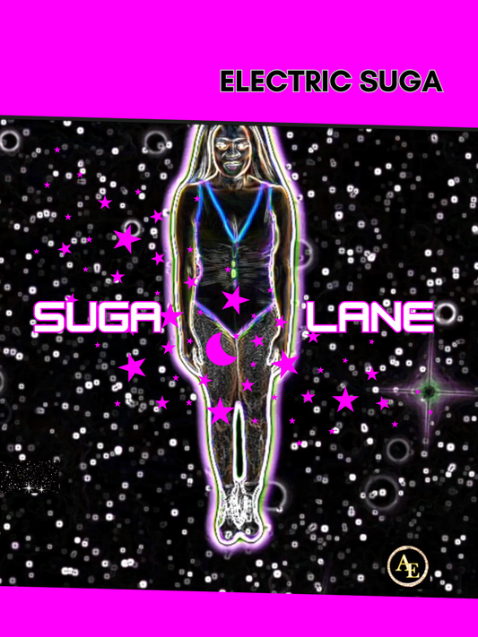 SUGA LANE ELECTRIC SUGA POSTER SUGA LANE