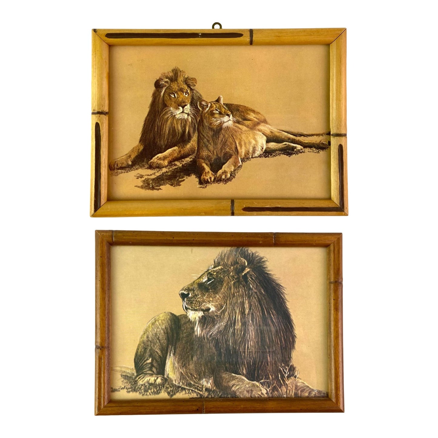 1970s Lion Lioness Print Wood Frame - Set of 2