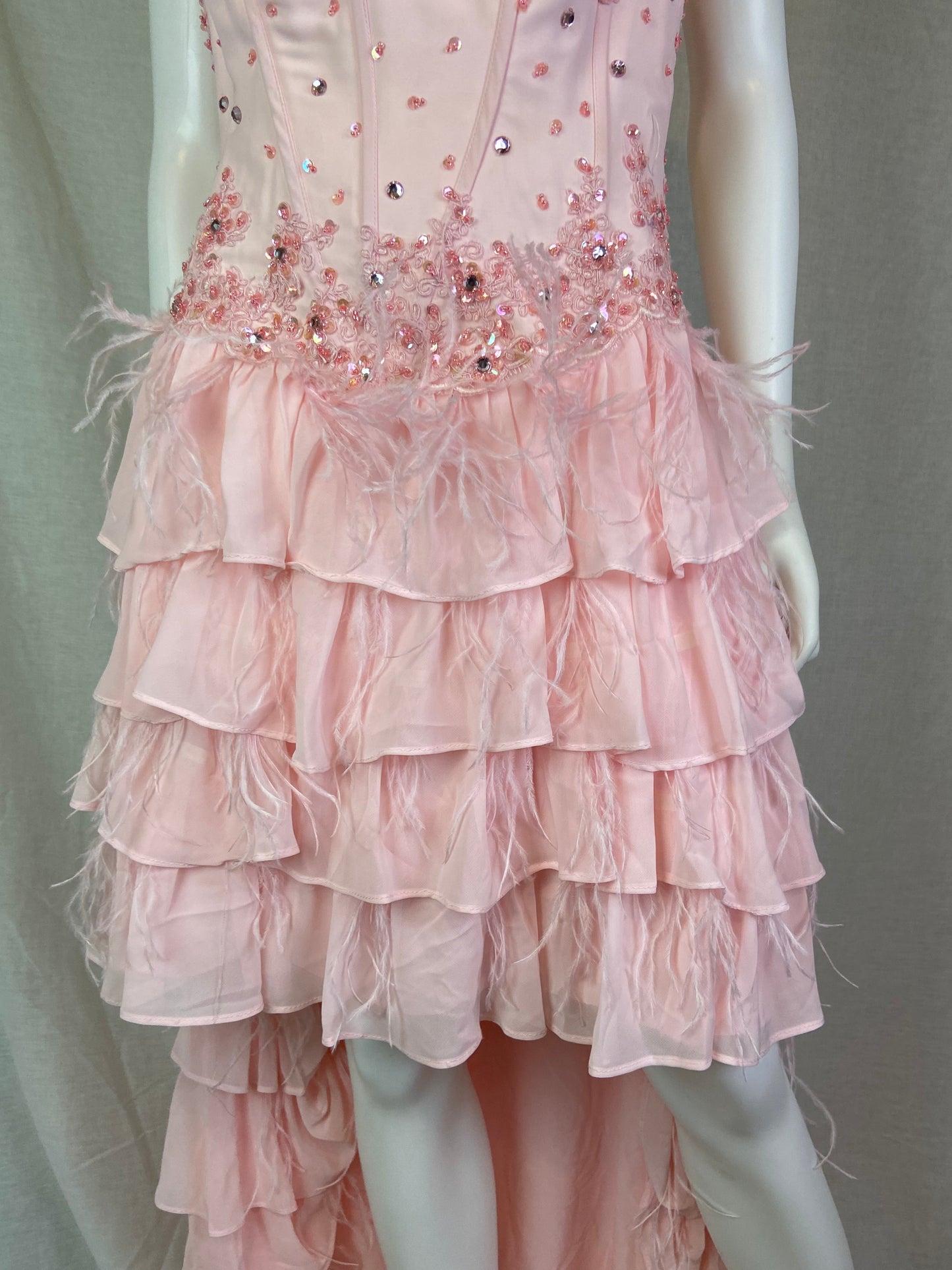 Pink Bustier Rhinestone Feather Boa Ruffle Gown