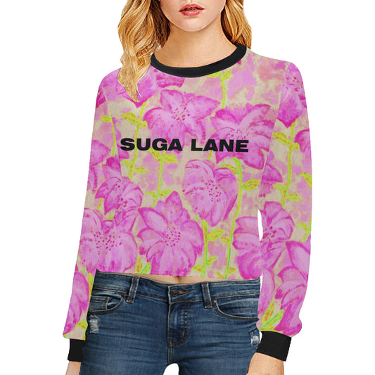 Fireworks Cropped Sweatshirt [Pink] e-joyer