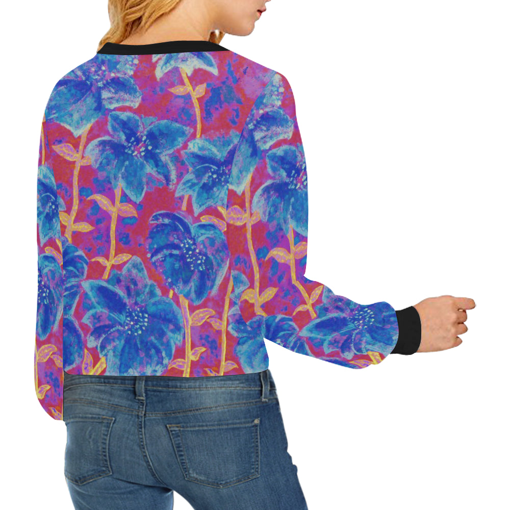 Fireworks Cropped Sweatshirt e-joyer