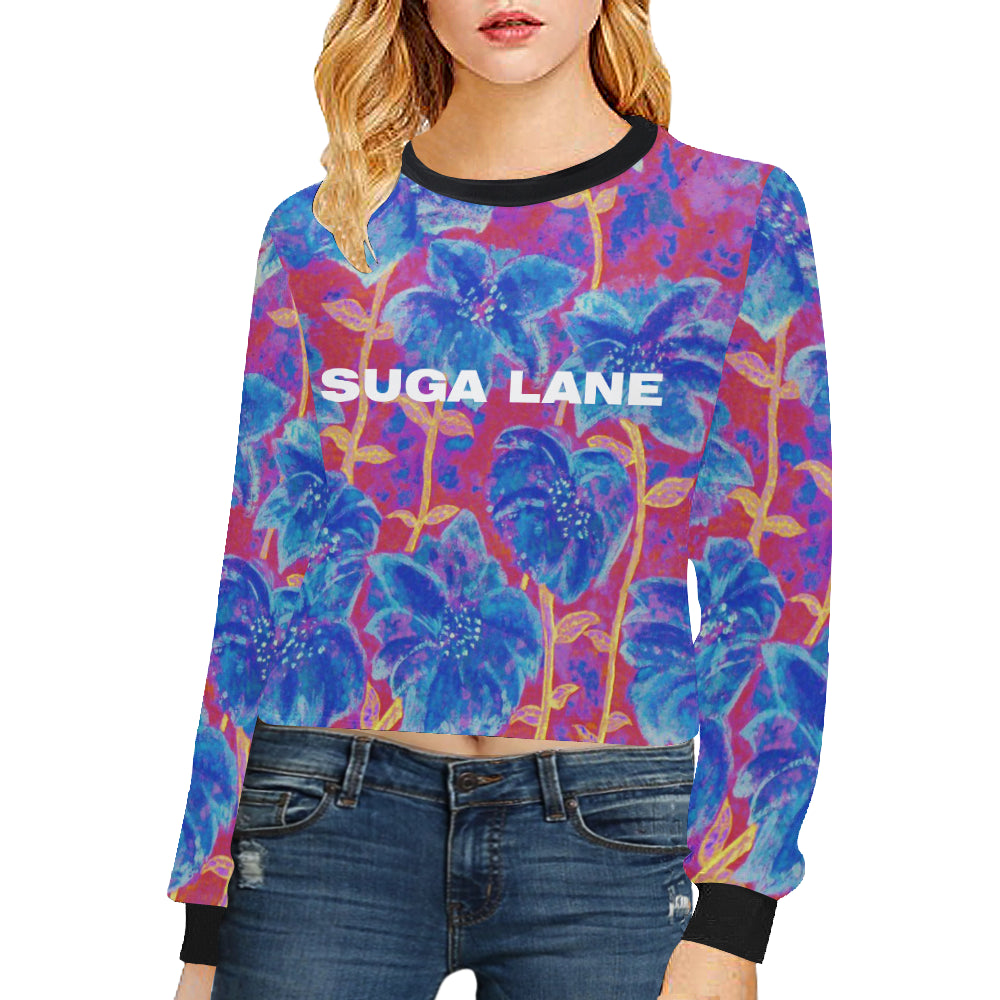 Fireworks Cropped Sweatshirt e-joyer