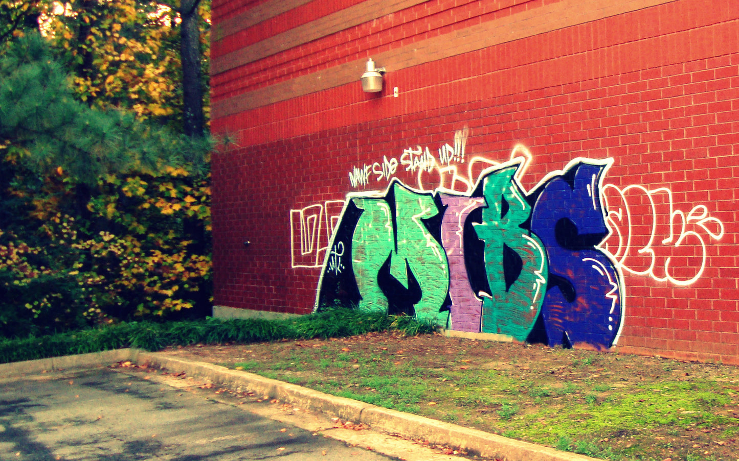 Surburban Graffiti #1 [Limited Edition 1/10] Digital Photography by Suga Lane