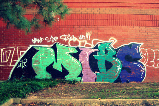 Suburban Graffiti #2 [Limited Edition 2/10] Digital Photography by Alaina Willia