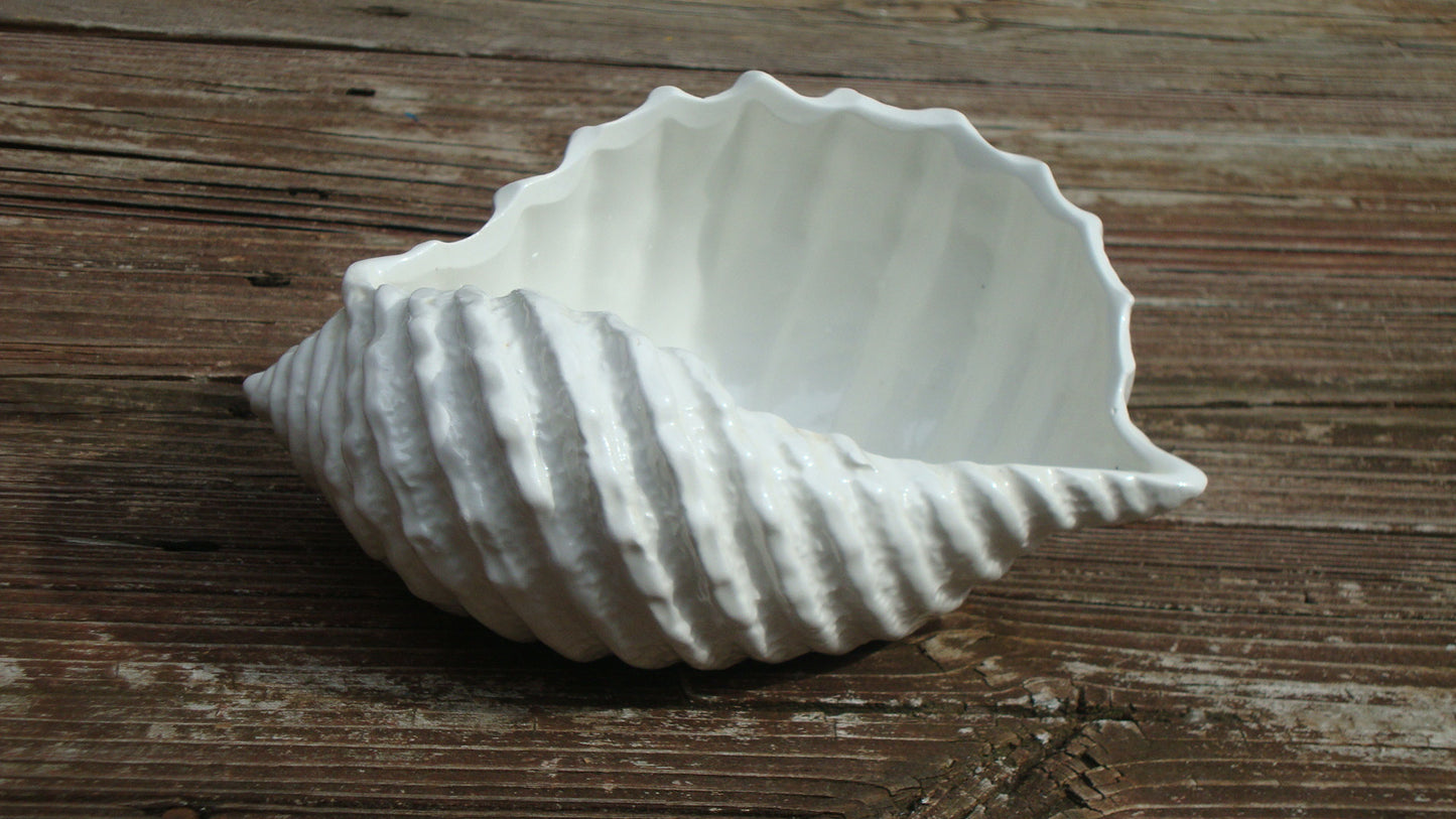 [SOLD] VINTAGE ANTIQUE STAFFORD WHITE ITALIAN PORCELAIN SEASHELL CONCH MADE IN ITALY