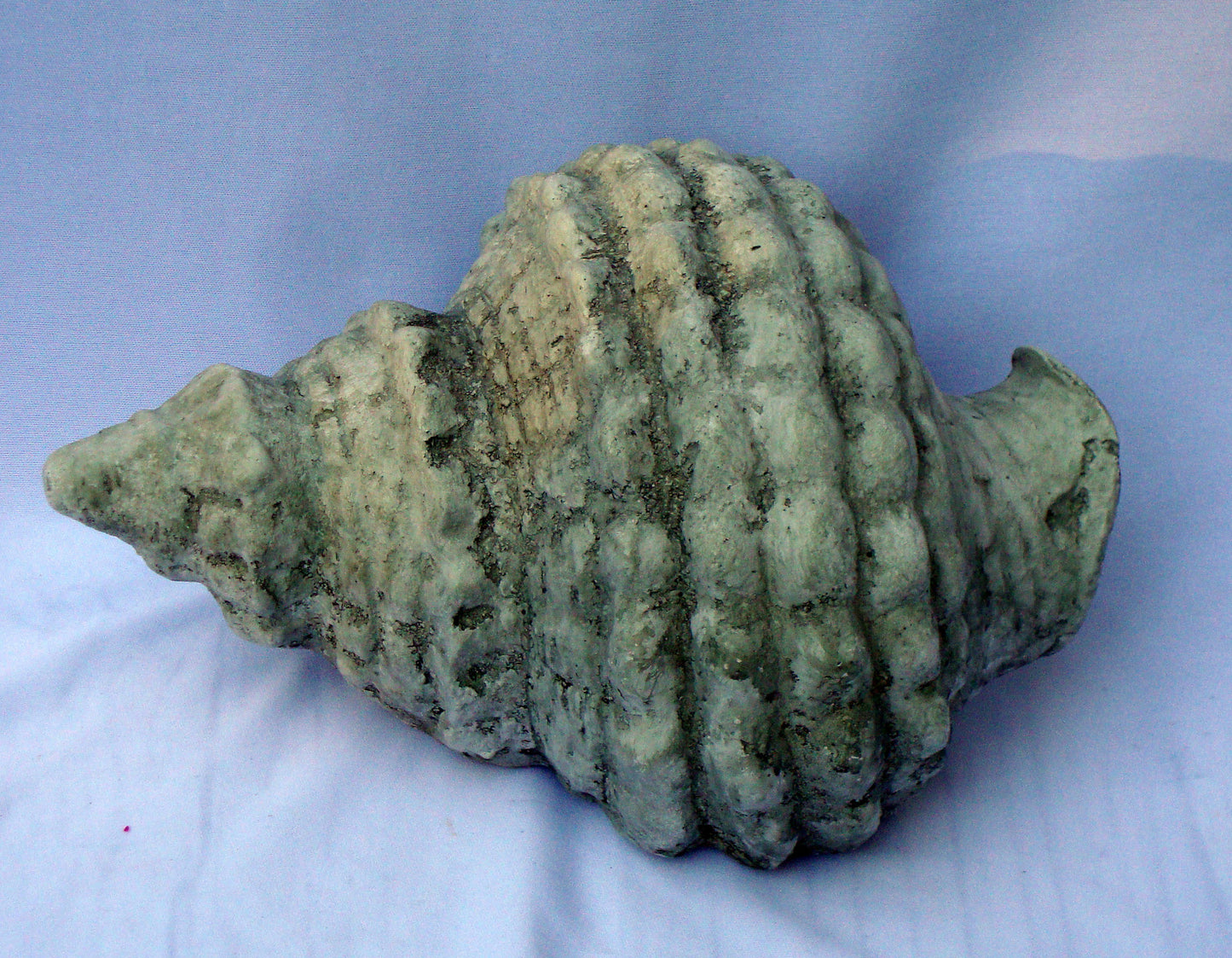 [SOLD] Realistic Seashell Large Gray Seashell Conch Sculpture