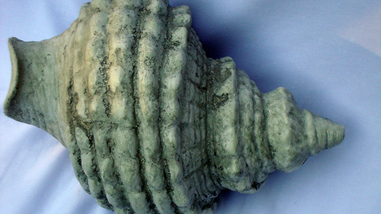 [SOLD] Realistic Seashell Large Gray Seashell Conch Sculpture