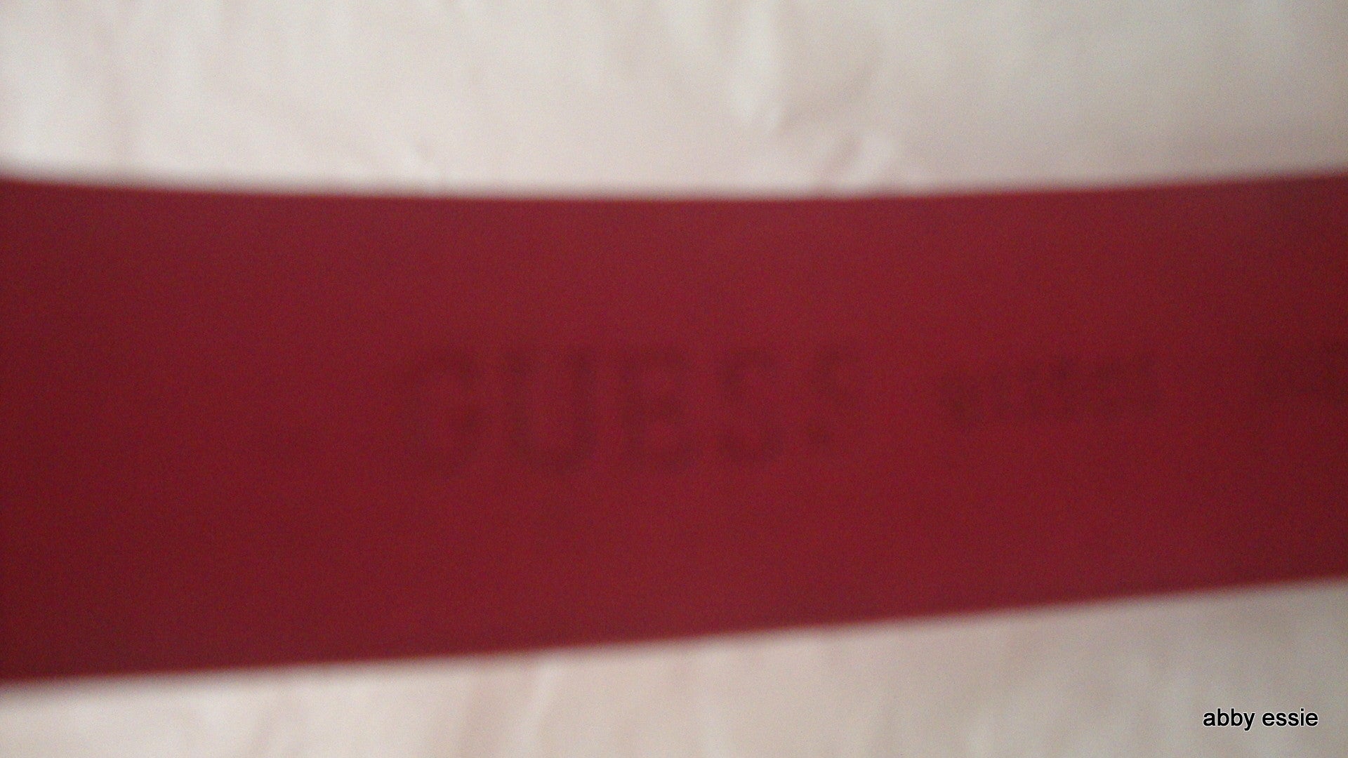 GUESS BLING RHINESTONE HOT PINK LEATHER BELT Abby Essie