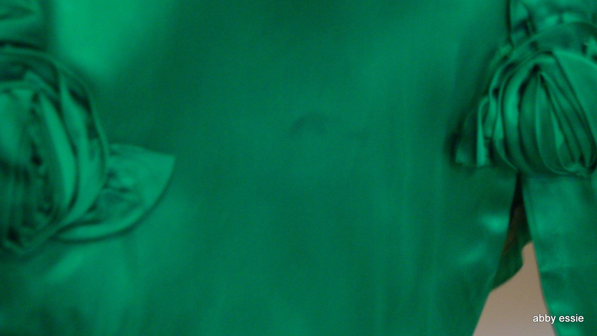 Green Silk 1950s Vintage Party Dress Rosettes Abby Essie