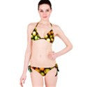 Suga Lane Pear Apple Yellow Orange Bikini Swimsuit ABBY ESSIE