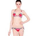 Suga Lane Limited Edition Hearts Afire Red Valentine Gray White Bikini Swimsuit ABBY ESSIE