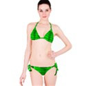 Suga Lane Retro Green Striped Bikini Swimsuit ABBY ESSIE