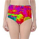 Suga Lane Tropical Floral Red Green Purple High Waist Bikini Brief Swim Bottom