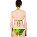 Suga Lane Tropical Floral Orange Lime Green Stripe Purple Bikini Swimsuit ABBY ESSIE