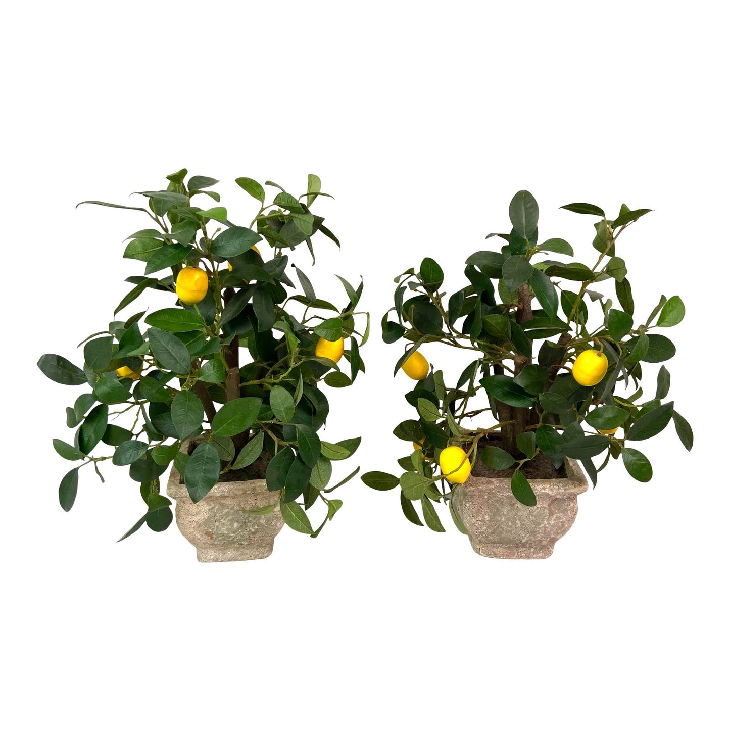 Faux Lemon Trees Ceramic Planters - Pair of 2