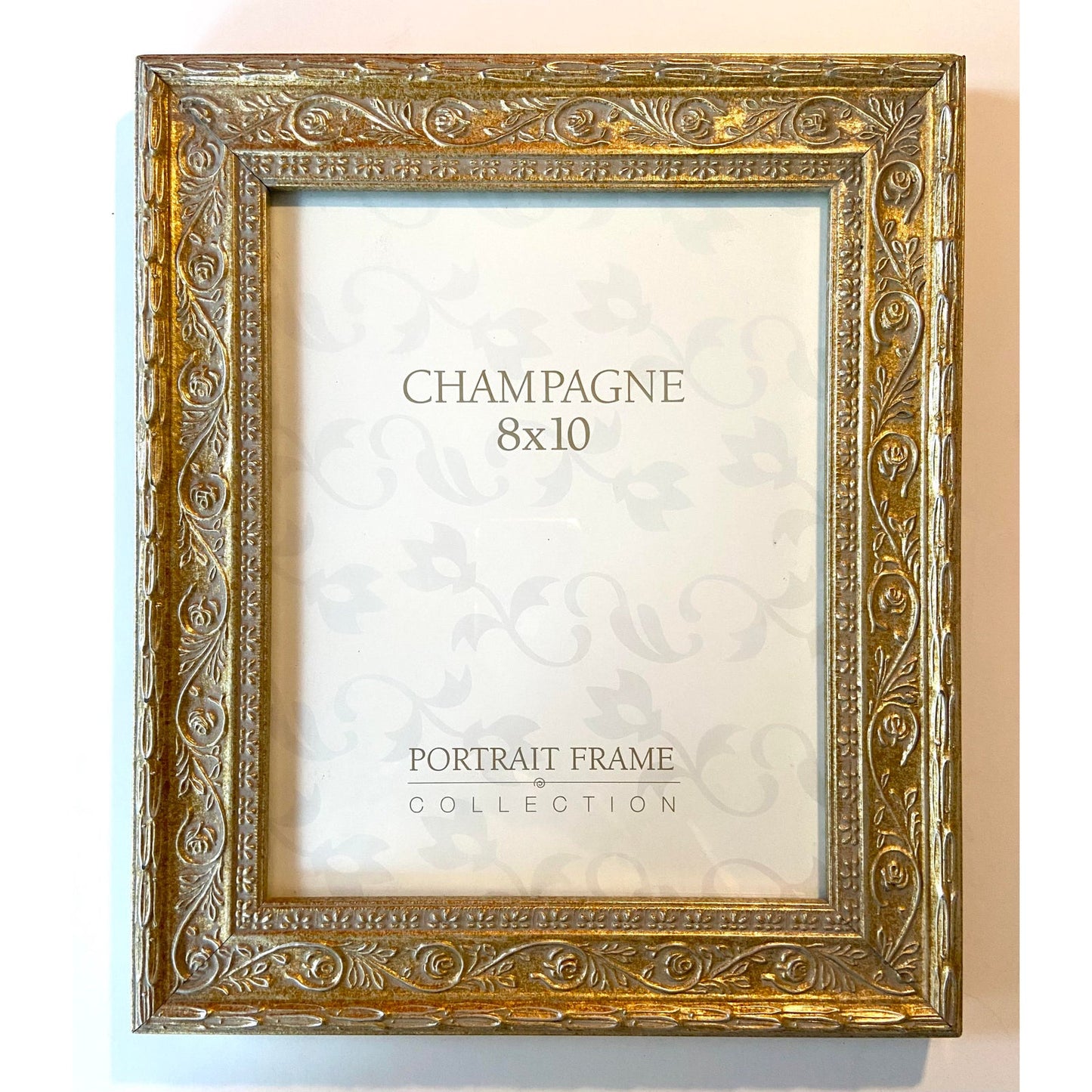 French Louis Champagne Gold Wood Glass Picture Frames - Pair of 2