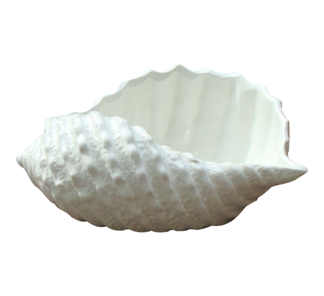 [SOLD] VINTAGE ANTIQUE STAFFORD WHITE ITALIAN PORCELAIN SEASHELL CONCH MADE IN ITALY