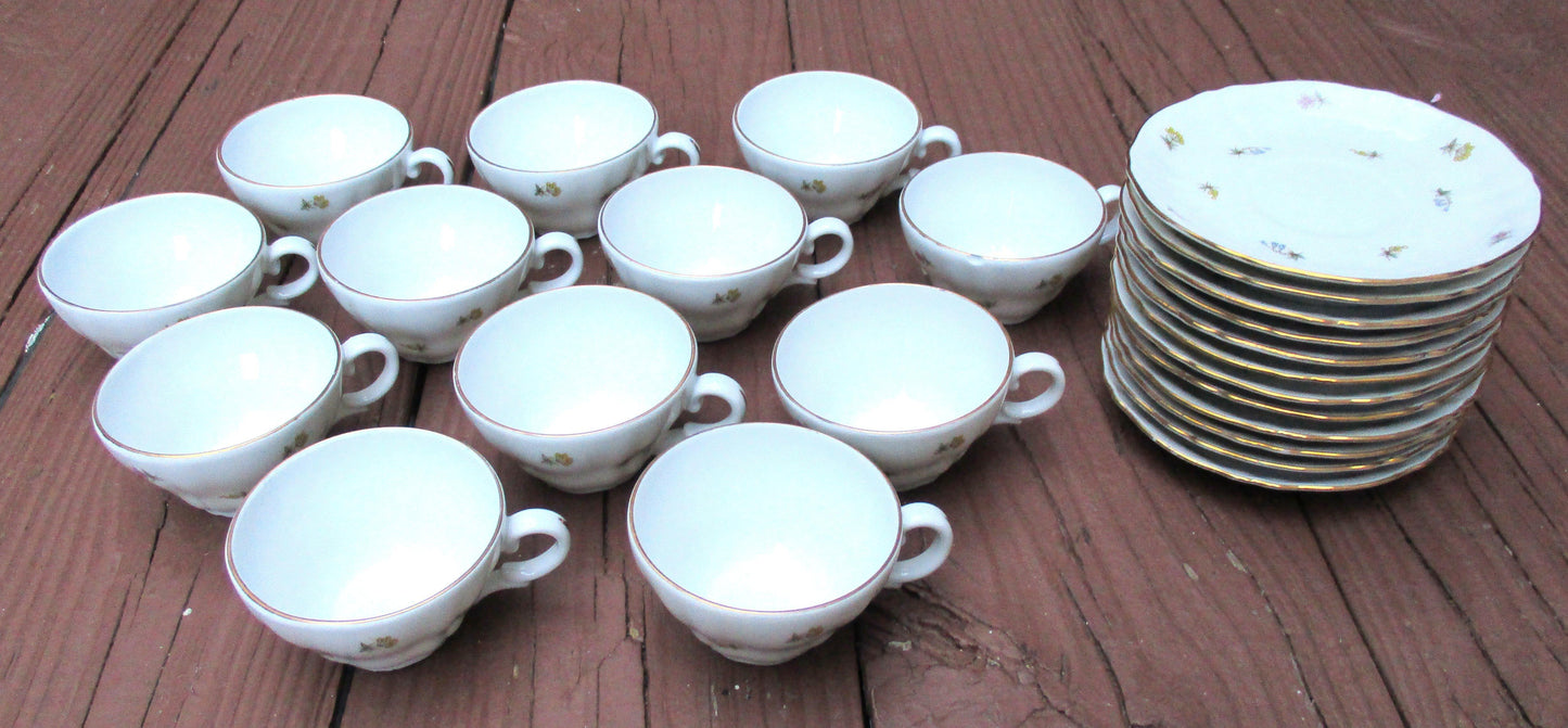 Richard Ginori Italian Porcelain Tea Set 24 Piece 12 Cups 12 Plates Country Cottage Farmhouse